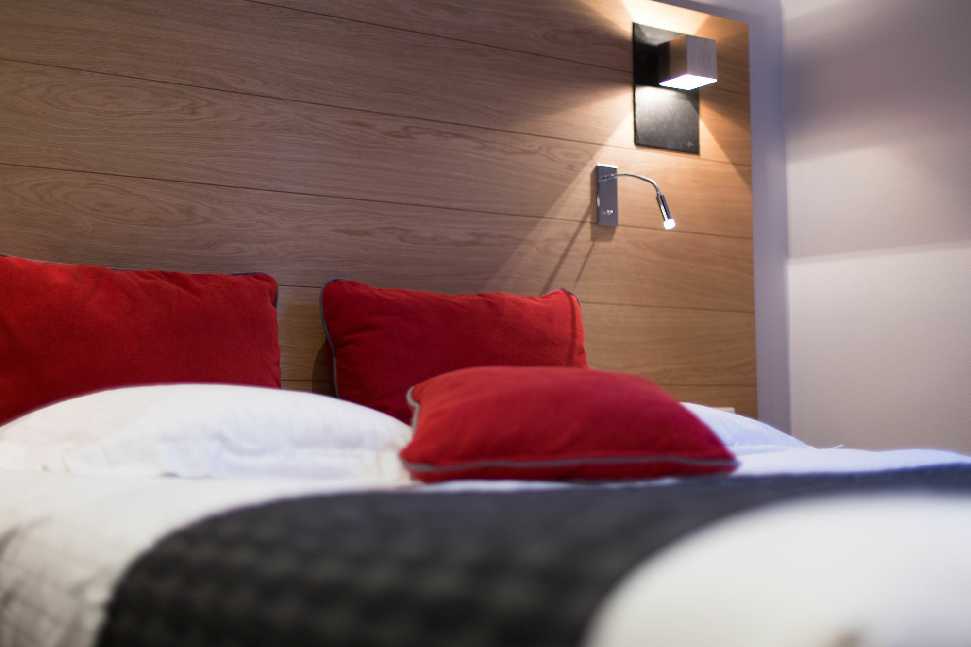 Hotel Des Princes, Chambery Centre エクステリア 写真